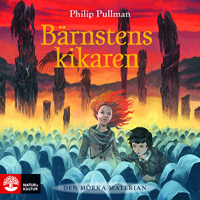 Cover for Bärnstenskikaren