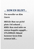 Cover for ...SOM EN BLIXT...