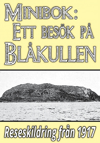 Omslagsbild för Minibok: Skildring av Blåkullen år 1917