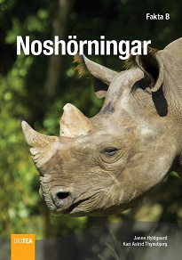 Omslagsbild för Noshörningar