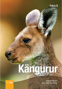 Omslagsbild för Kängurur