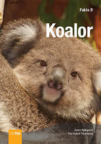 Omslagsbild för Koalor