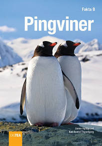 Omslagsbild för Pingviner