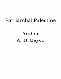 Omslagsbild för Patriarchal Palestine