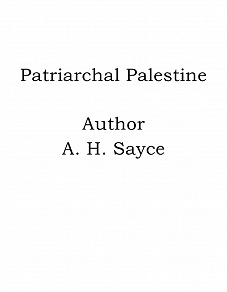 Omslagsbild för Patriarchal Palestine