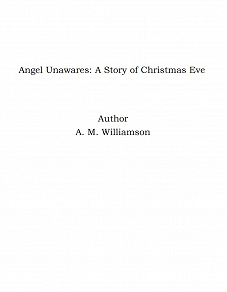 Omslagsbild för Angel Unawares: A Story of Christmas Eve