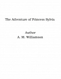 Omslagsbild för The Adventure of Princess Sylvia