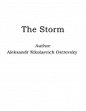Omslagsbild för The Storm