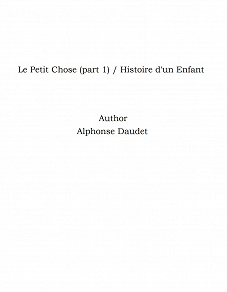 Omslagsbild för Le Petit Chose (part 1) / Histoire d'un Enfant