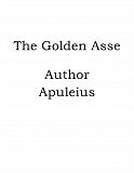 Omslagsbild för The Golden Asse