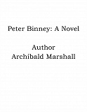 Omslagsbild för Peter Binney: A Novel