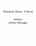 Omslagsbild för Phantom Wires: A Novel