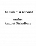 Omslagsbild för The Son of a Servant