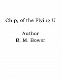 Omslagsbild för Chip, of the Flying U