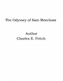 Omslagsbild för The Odyssey of Sam Meecham