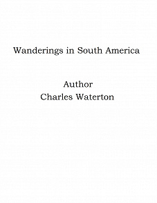 Omslagsbild för Wanderings in South America