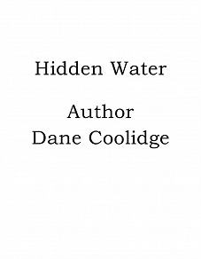 Omslagsbild för Hidden Water