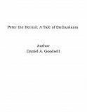 Omslagsbild för Peter the Hermit: A Tale of Enthusiasm