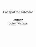 Omslagsbild för Bobby of the Labrador