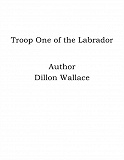 Omslagsbild för Troop One of the Labrador