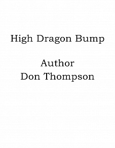 Omslagsbild för High Dragon Bump