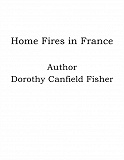 Omslagsbild för Home Fires in France