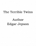 Omslagsbild för The Terrible Twins