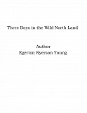 Omslagsbild för Three Boys in the Wild North Land