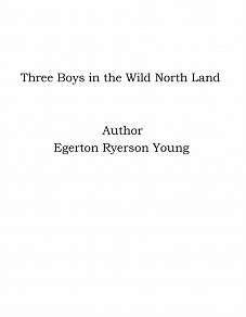 Omslagsbild för Three Boys in the Wild North Land
