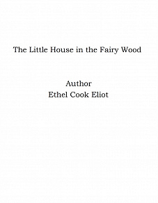 Omslagsbild för The Little House in the Fairy Wood