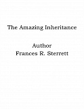 Omslagsbild för The Amazing Inheritance