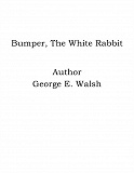 Omslagsbild för Bumper, The White Rabbit