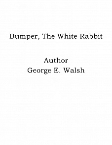 Omslagsbild för Bumper, The White Rabbit