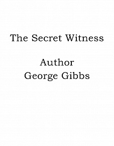 Omslagsbild för The Secret Witness