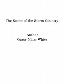 Omslagsbild för The Secret of the Storm Country