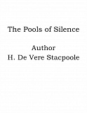Omslagsbild för The Pools of Silence