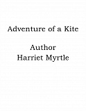 Omslagsbild för Adventure of a Kite