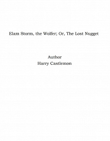 Omslagsbild för Elam Storm, the Wolfer; Or, The Lost Nugget