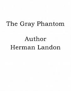 Omslagsbild för The Gray Phantom