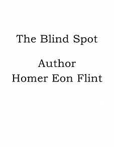 Omslagsbild för The Blind Spot