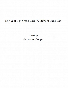 Omslagsbild för Sheila of Big Wreck Cove: A Story of Cape Cod
