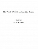 Omslagsbild för The Spirit of Youth and the City Streets