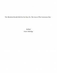 Omslagsbild för The Meadow-Brook Girls by the Sea; Or, The Loss of The Lonesome Bar