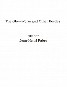 Omslagsbild för The Glow-Worm and Other Beetles