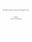 Omslagsbild för The White Squall: A Story of the Sargasso Sea