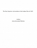 Omslagsbild för The Boy Captives: An Incident of the Indian War of 1695