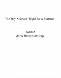 Omslagsbild för The Boy Aviators' Flight for a Fortune