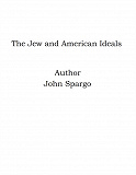 Omslagsbild för The Jew and American Ideals