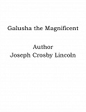 Omslagsbild för Galusha the Magnificent