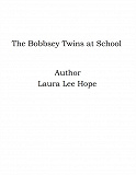 Omslagsbild för The Bobbsey Twins at School